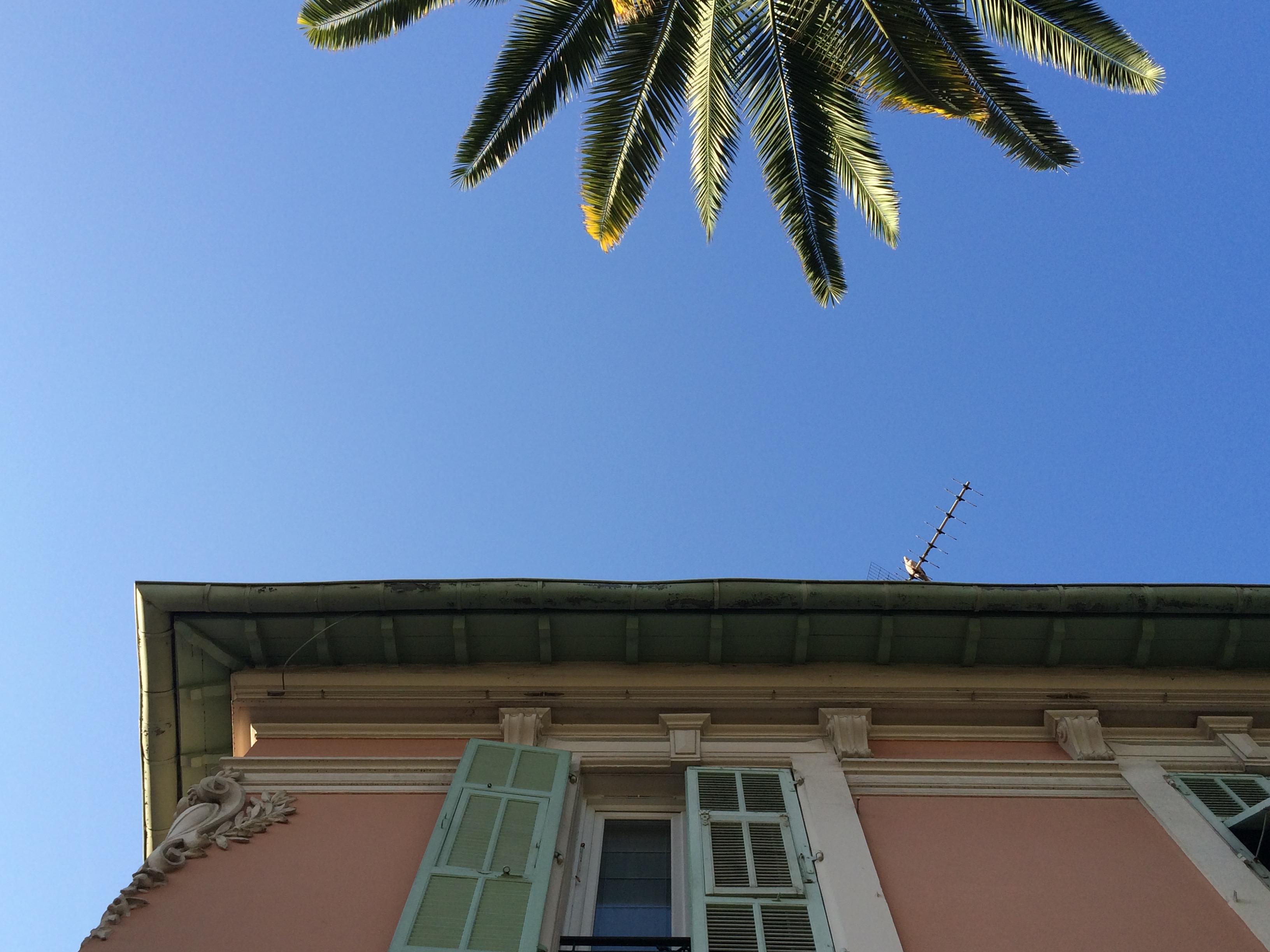 Hotel Villa Rose Niza Exterior foto